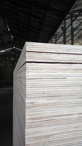 Kego Plywood Core Material: Eucaly