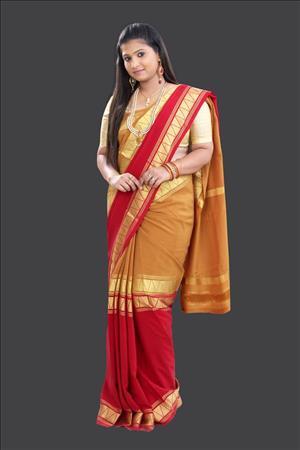 Designer Sarees