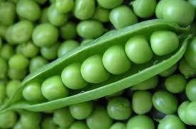 Frozen Green Peas - IQF Frozen Green Peas | Rich Aroma, High Nutritional Value, Easy to Cook