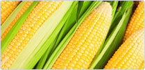 Maize Derivatives