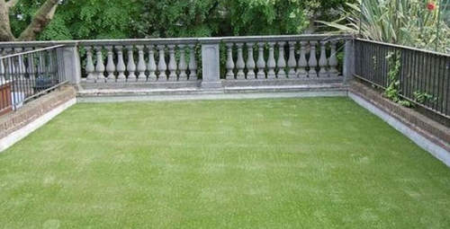 Terrace and Poolside Grass