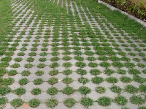 Grass Pavers