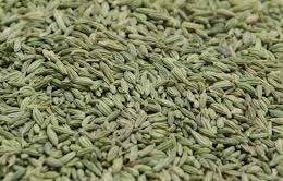 Fennel Seeds Application: Labs