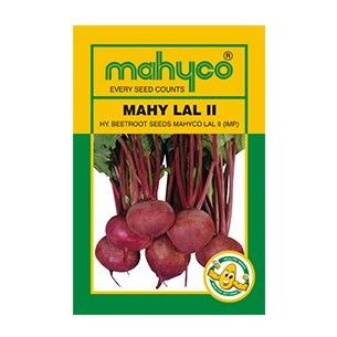 Beetroot Hybrid Seeds