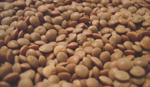 Masoor Pulses - Small Lentils, Whole and Split Varieties , Diverse Colors Including Green, Brown, Black, Yellow, Red, and Orange