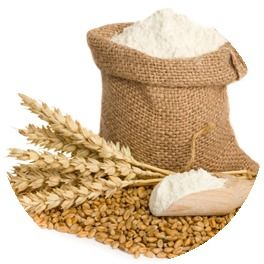 Wheat Flour