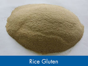 Rice Protein