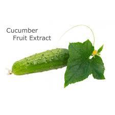 Cucumber Extract