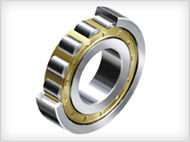 Cylindrical Roller Bearing