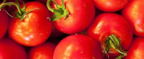 Tomatoes