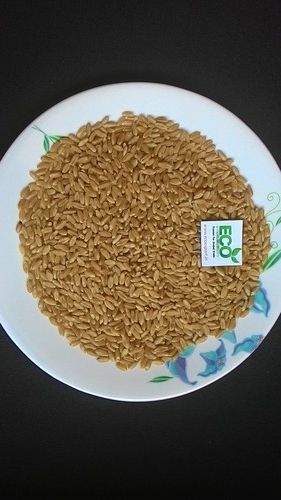 Export Quality Wheat