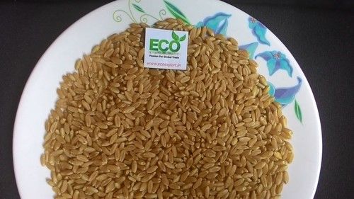 Exporter Quality Soft Wheat