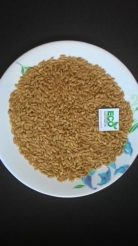 Animal Grade Wheat