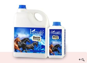 Horse Conditioning Shampoo