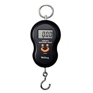 Mobile Hanging Scale