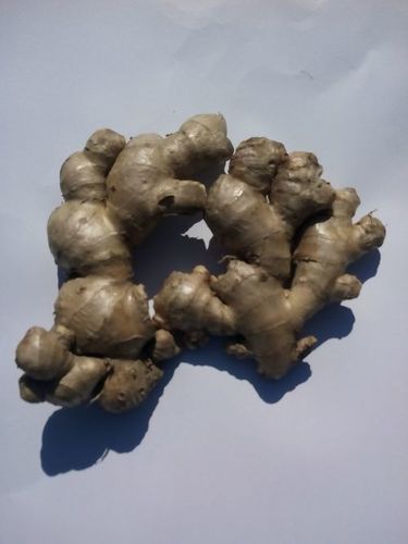 Fresh Organic Ginger