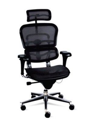 Mesh Executive Chair