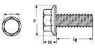 Flange Screw