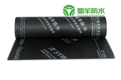 APP SBS Modified Bitumen waterproofing membrane