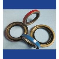 Control Techniques India Oil Seals