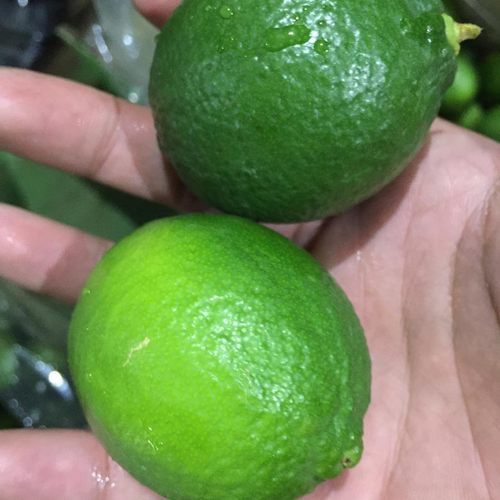 Fresh seedless lime