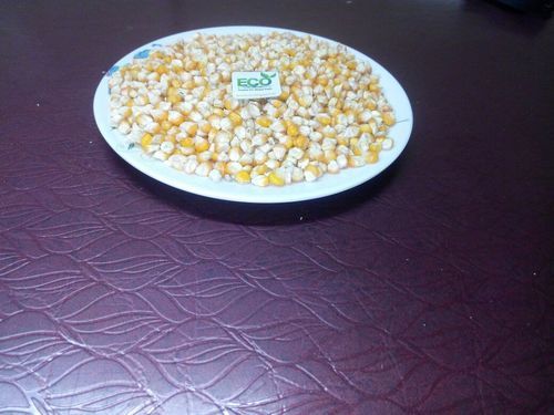 Economical Yellow Corn Maize