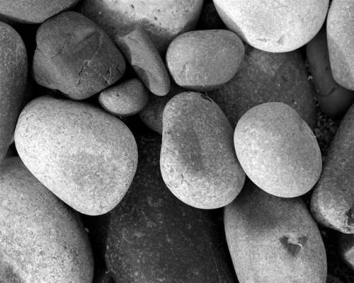 Garden Pebbles - Natural Stone, Varying Shapes and Sizes, Vibrant Colors - Ideal for Landscaping Decor