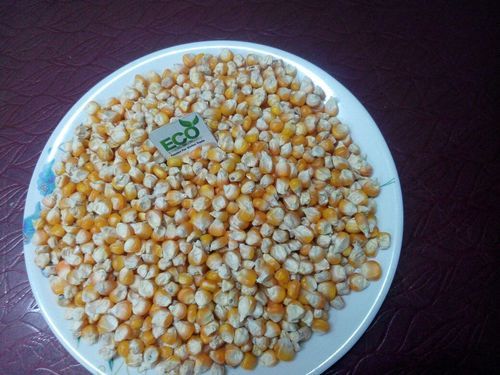 Makai (Maize)