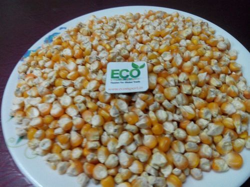 Poultry And Animal Feed Maize