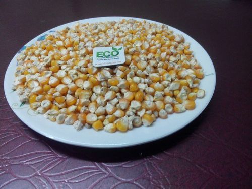 yellow corn