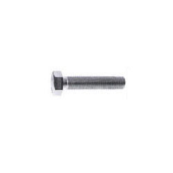 Hex Head Bolts