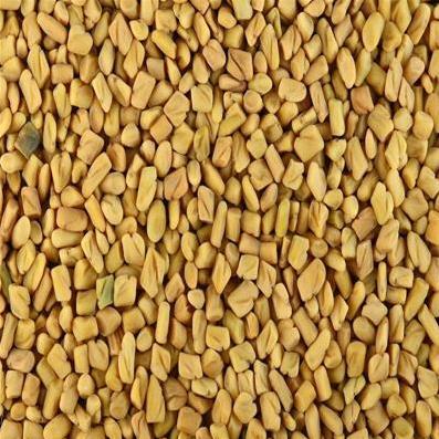 Fenugreek