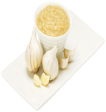 Stainless Steel Garlic Paste