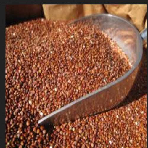 Organic Red Quinoa Seeds