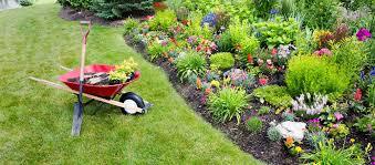 Delhi Garden Maintenance Service