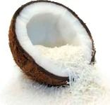 Defatted Desiccated Coconut Powder