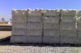 Organic Cotton Bales