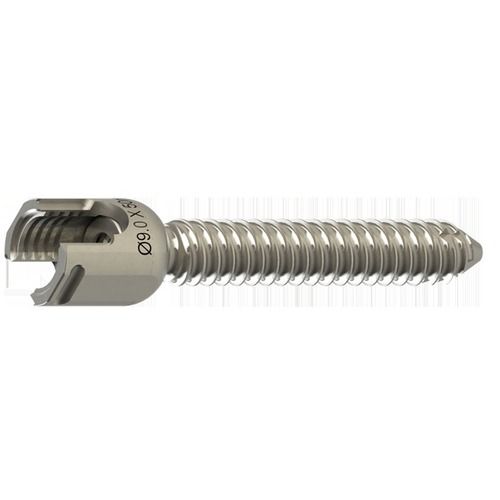 Spinal Implant