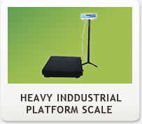 Heavy Industrial Platform Scale