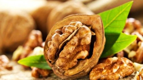 Walnut - Nutrient-Dense Nutmeat from Eastern Black Walnut | Rich in Protein and Essential Fatty Acids