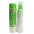 Apple Fruity Lip Care