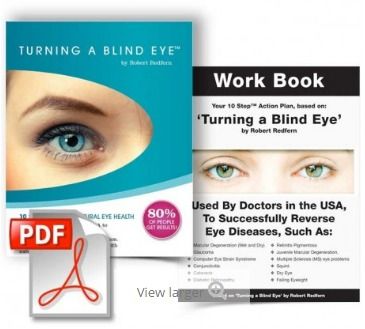 Turning A Blind Eye eBook Eyesight eWorkbook