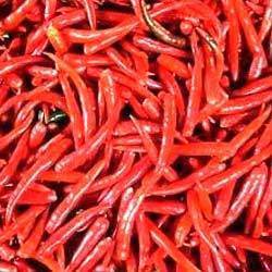 Red Chilli