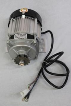 BLDC Motor for Traction