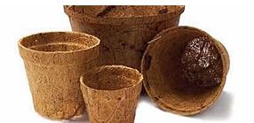 Coir Pots