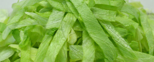 Fresh Cut Iceberg Lettuce