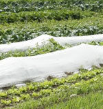 Non Woven Crop Cover Fabric