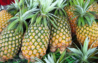 Fresh Pineapple