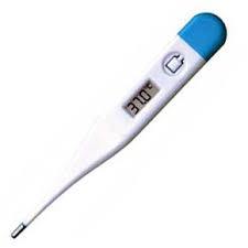 Reliable Digital Thermometer