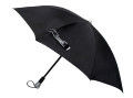 Black Silver Umbrella